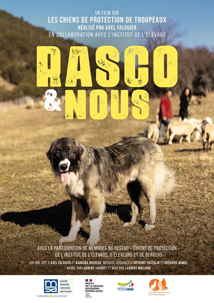 Projection du film "Rasco et nous" - mercredi 9 juillet au cinéma