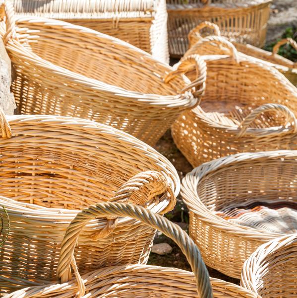 Conférence : plantes de l’artisanat - jeudi 23 octobre