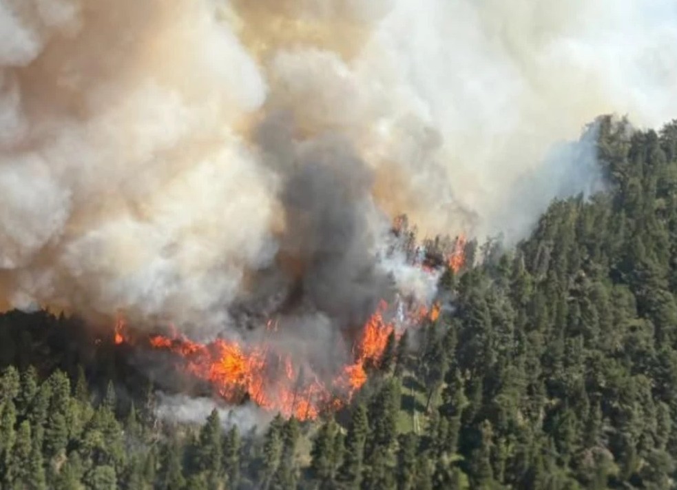FEU DE FORÊT EN COURS